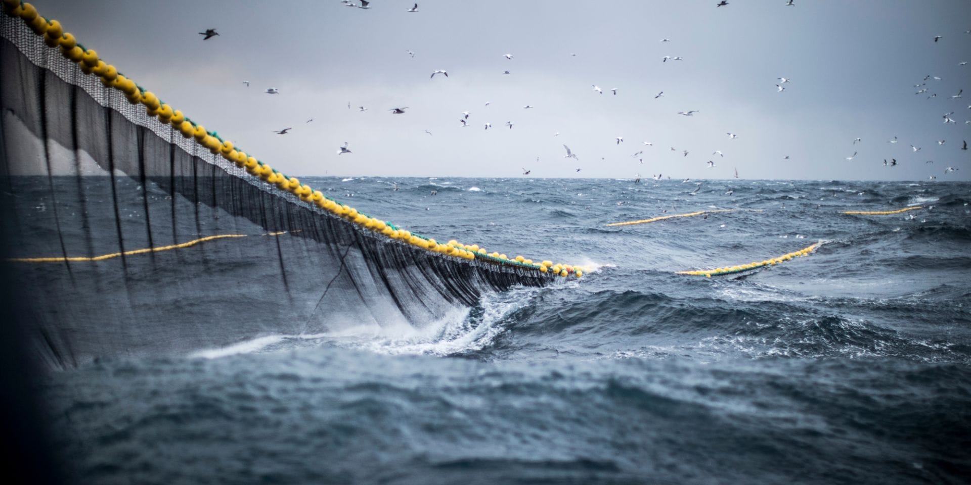 Pesca non sostenibile